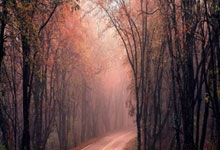 不满22年转会曼联前被多次罚款，安东尼起诉阿贾克斯至法院.